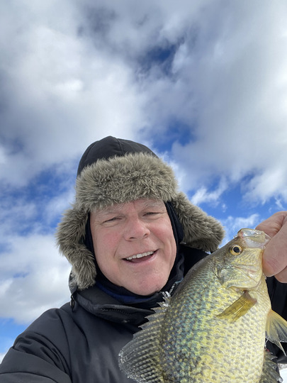 Black Crappie