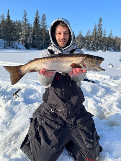 Tiger Trout
