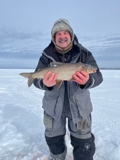 Lake Whitefish