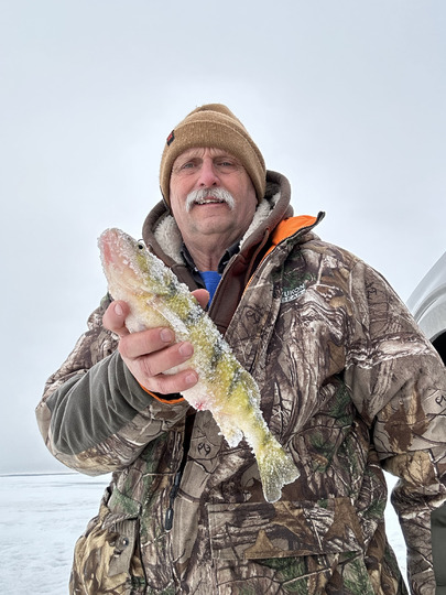 Yellow Perch