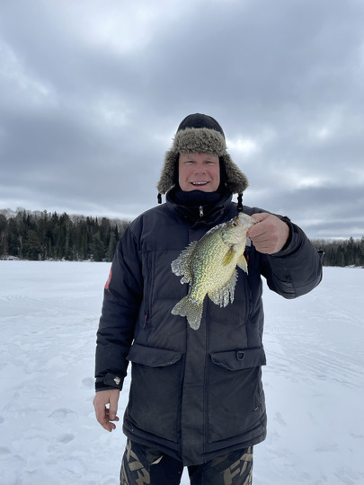 Black Crappie