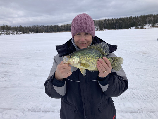 Black Crappie