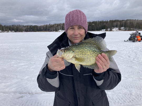Black Crappie