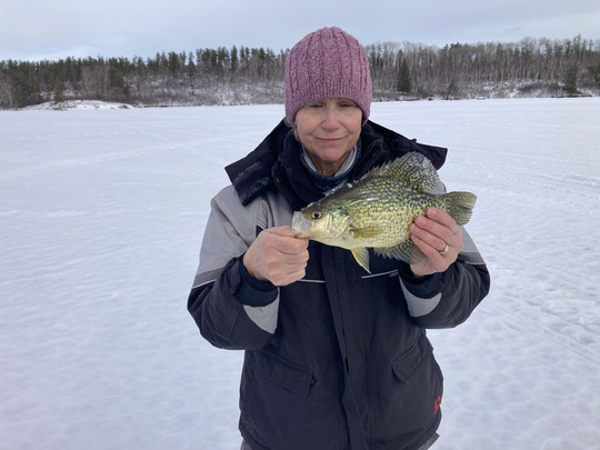 Black Crappie