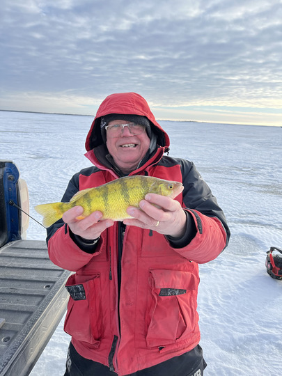 Yellow Perch