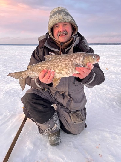 Lake Whitefish