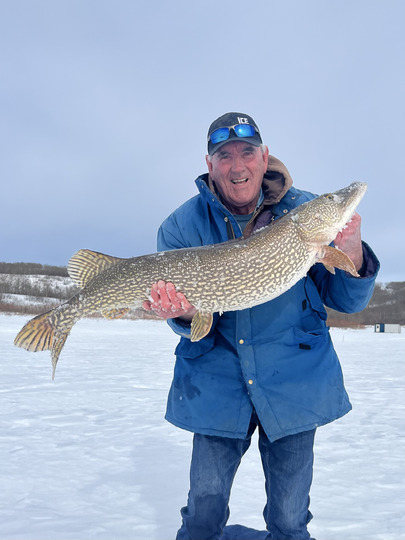 Northern Pike