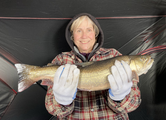 Tiger Trout