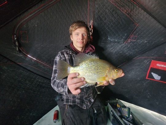 Black Crappie