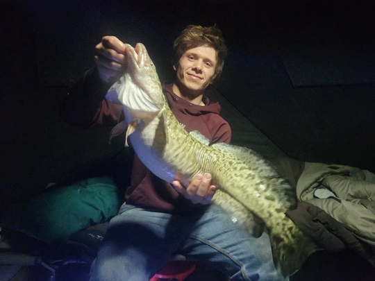 Burbot