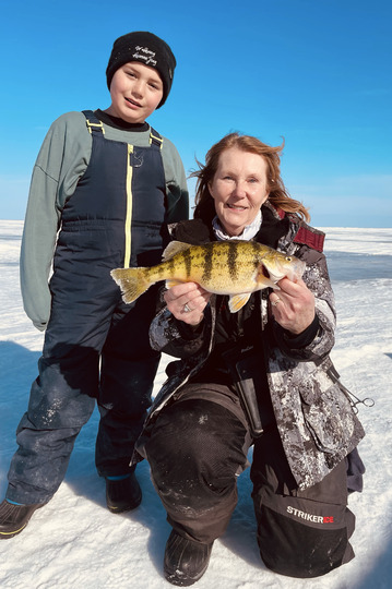 Yellow Perch