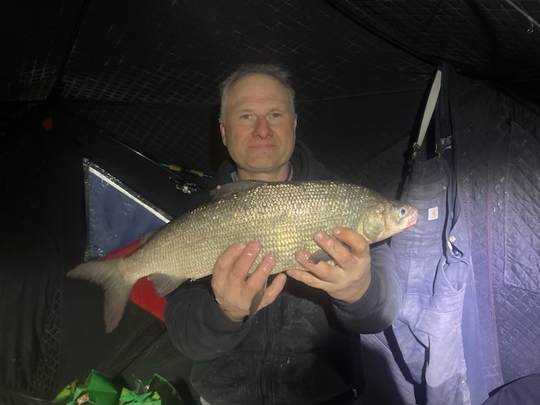 Lake Whitefish