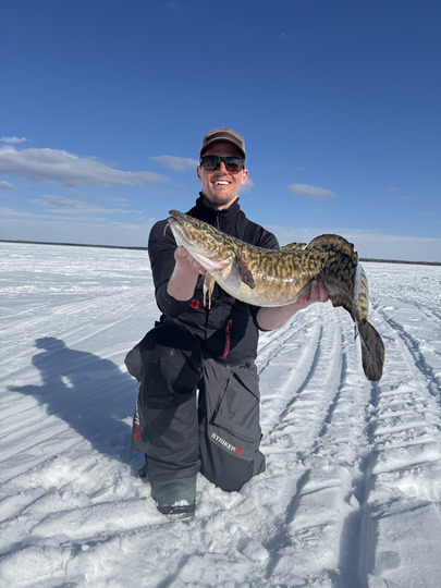 Burbot