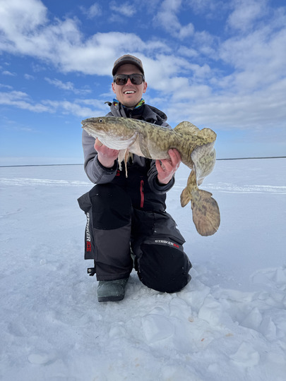 Burbot