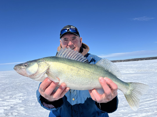 Walleye
