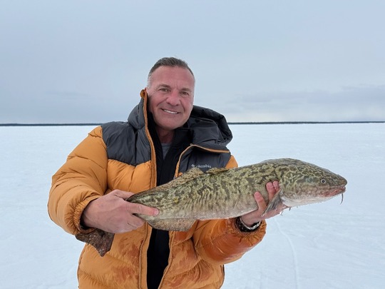 Burbot