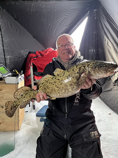 Burbot