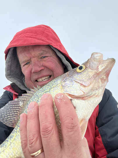 Black Crappie