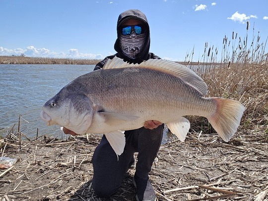 Freshwater Drum