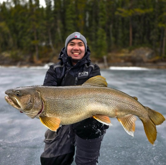 Lake Trout