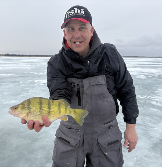 Yellow Perch