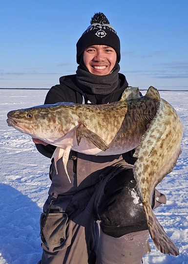 Burbot