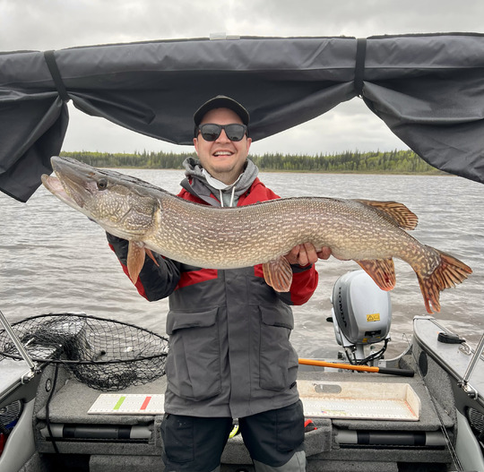 Northern Pike