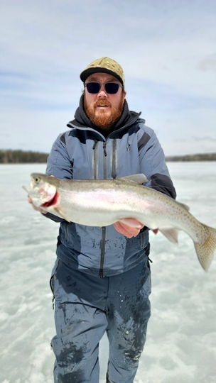 Rainbow Trout