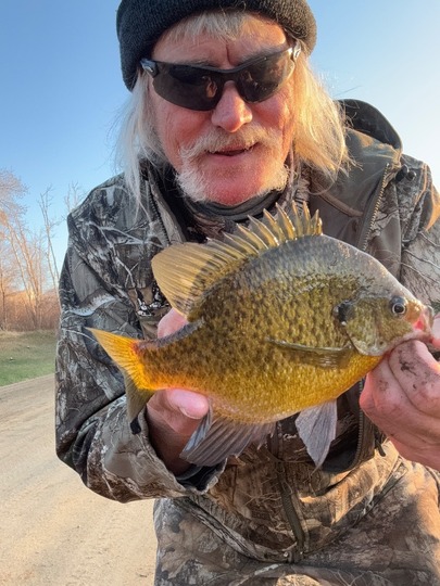 Sunfish