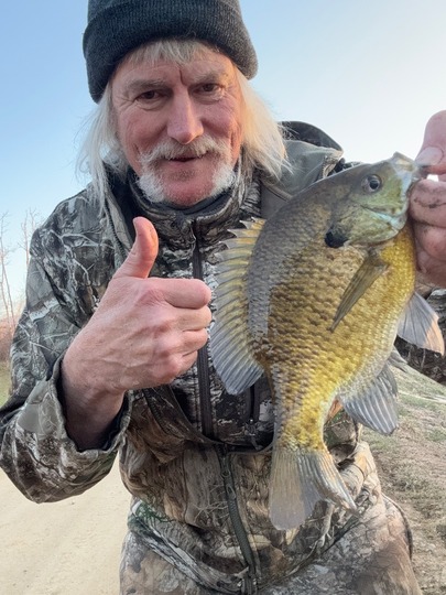 Sunfish