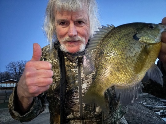 Sunfish