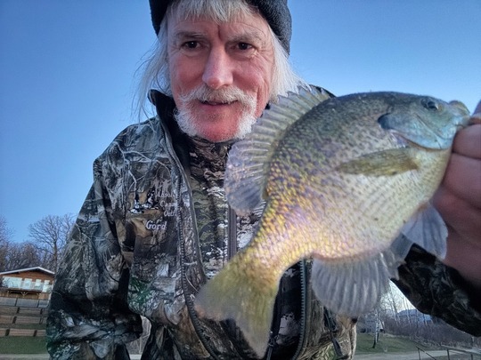 Sunfish
