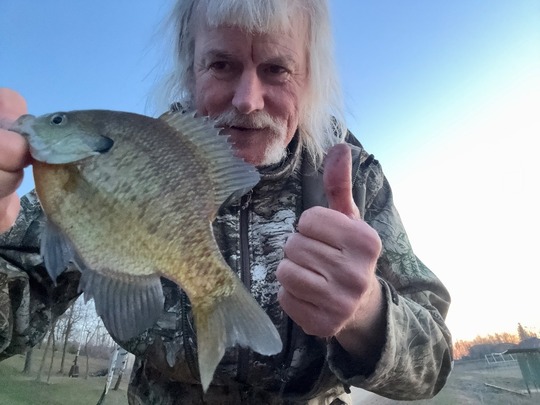 Sunfish