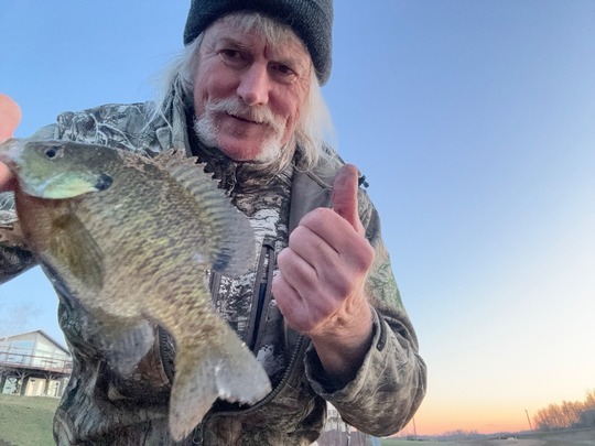 Sunfish
