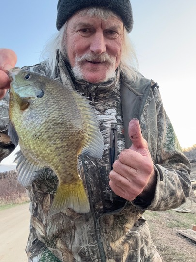 Sunfish