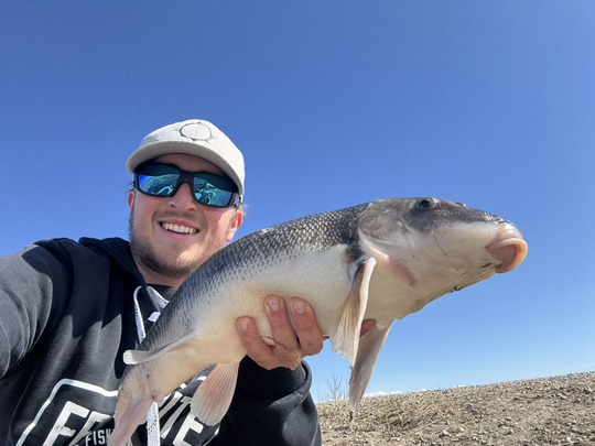 Sucker
