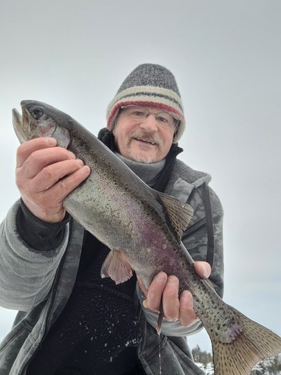 Rainbow Trout
