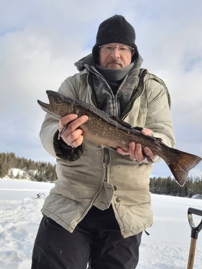 Tiger Trout