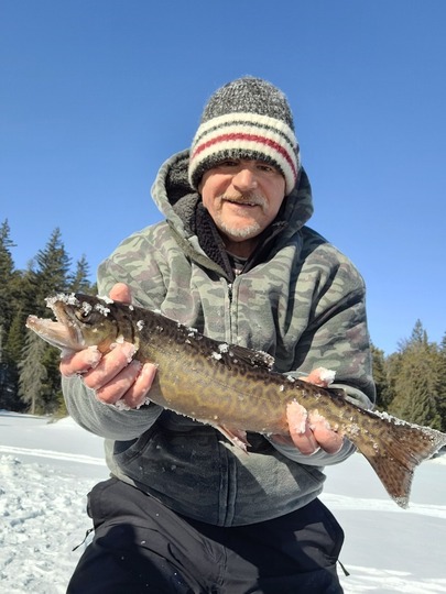 Tiger Trout
