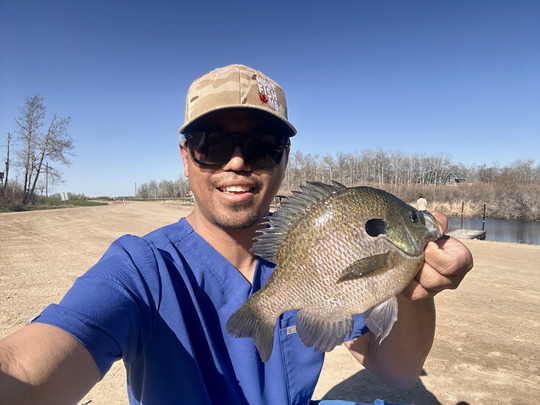 Sunfish