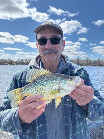 Black Crappie