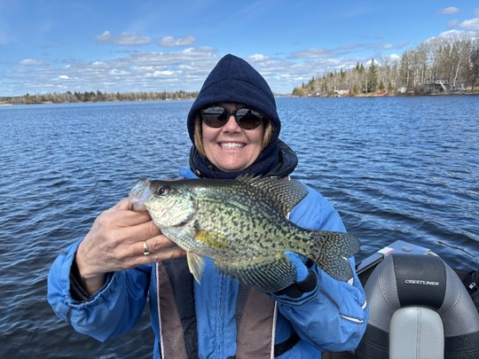 Black Crappie