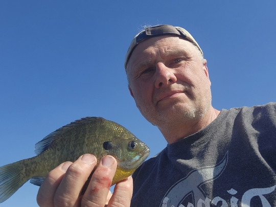 Sunfish