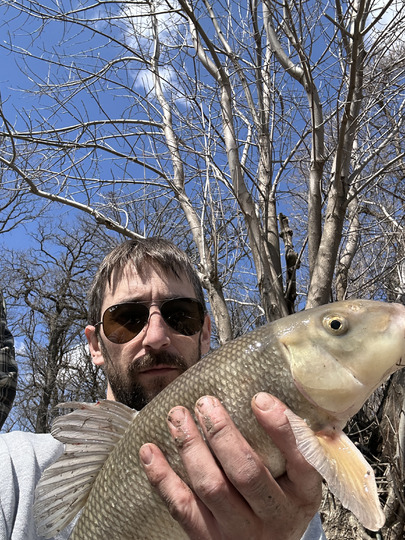 Sucker