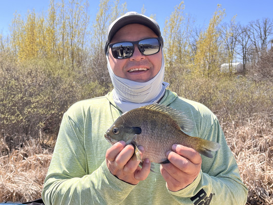 Sunfish
