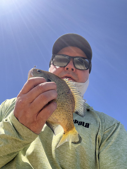Sunfish