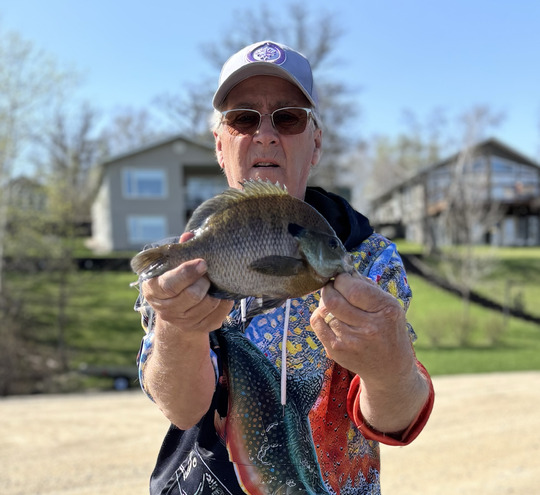 Sunfish