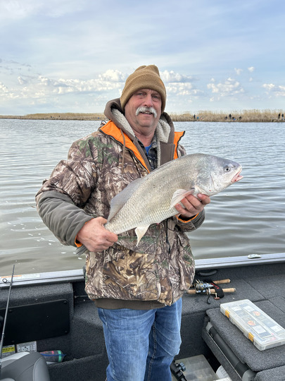 Freshwater Drum
