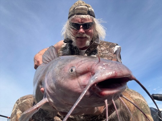 Channel Catfish