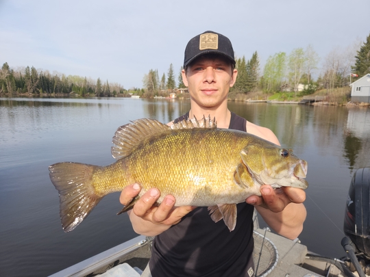 Smallmouth Bass